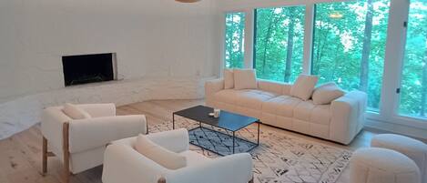 TV, fireplace