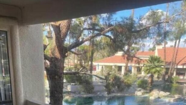 Un balcon donnant sur une piscine, entourée d’arbres et d’immeubles.