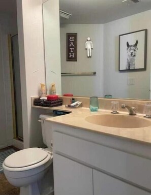 Shower, hair dryer, towels, soap