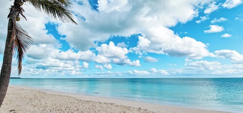 NEW Fresh Lagoon Blue Beachfront Studio at Coral Beach Hotel, Grand Bahama