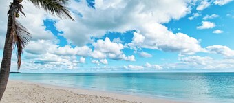 NEW Fresh Lagoon Blue Beachfront Studio at Coral Beach Hotel, Grand Bahama