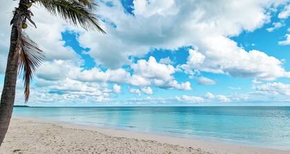 NEW Fresh Lagoon Blue Beachfront Studio at Coral Beach Hotel, Grand Bahama
