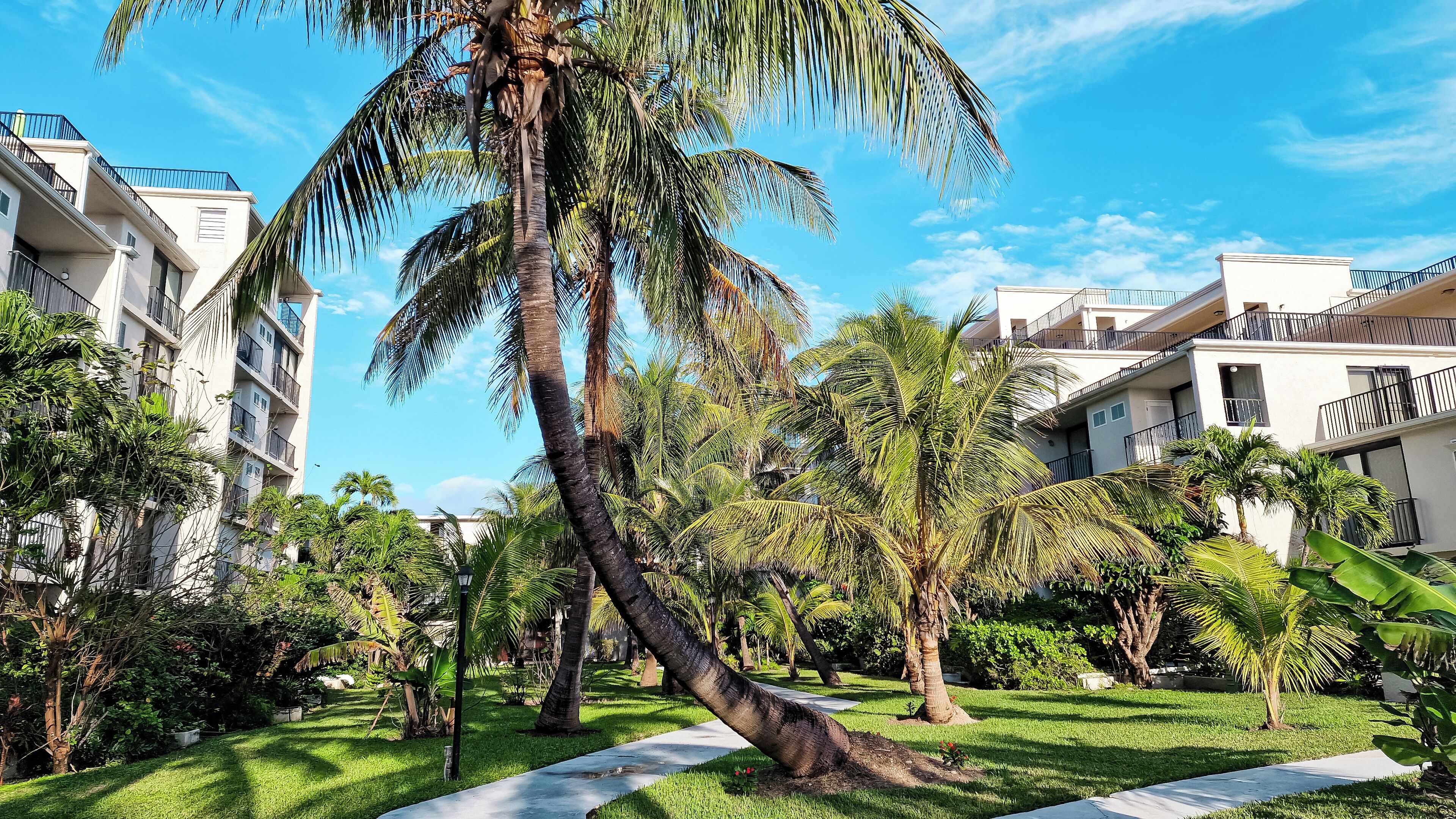 Overnattingsstedets uteområder