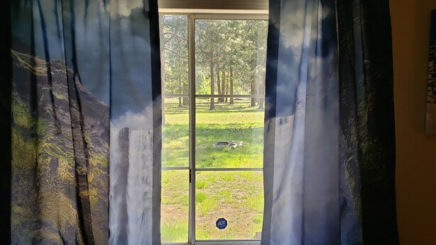 A window with a view of a grassy area and trees. - 3-bedroom mobile home in fabulous Coffee Creek (Trinity Center)