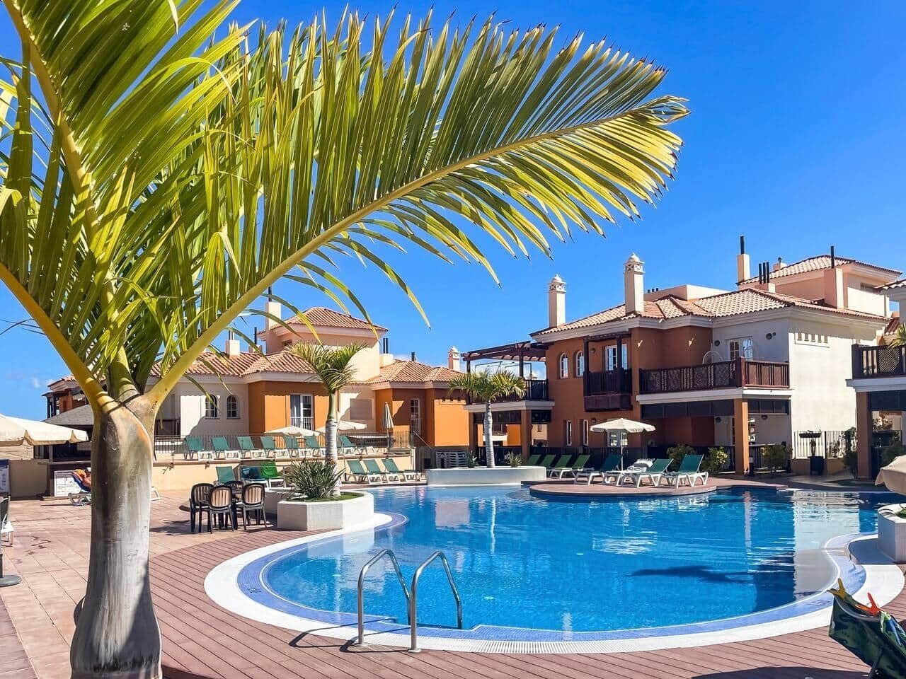Une piscine avec des chaises longues et un palmier au premier plan.