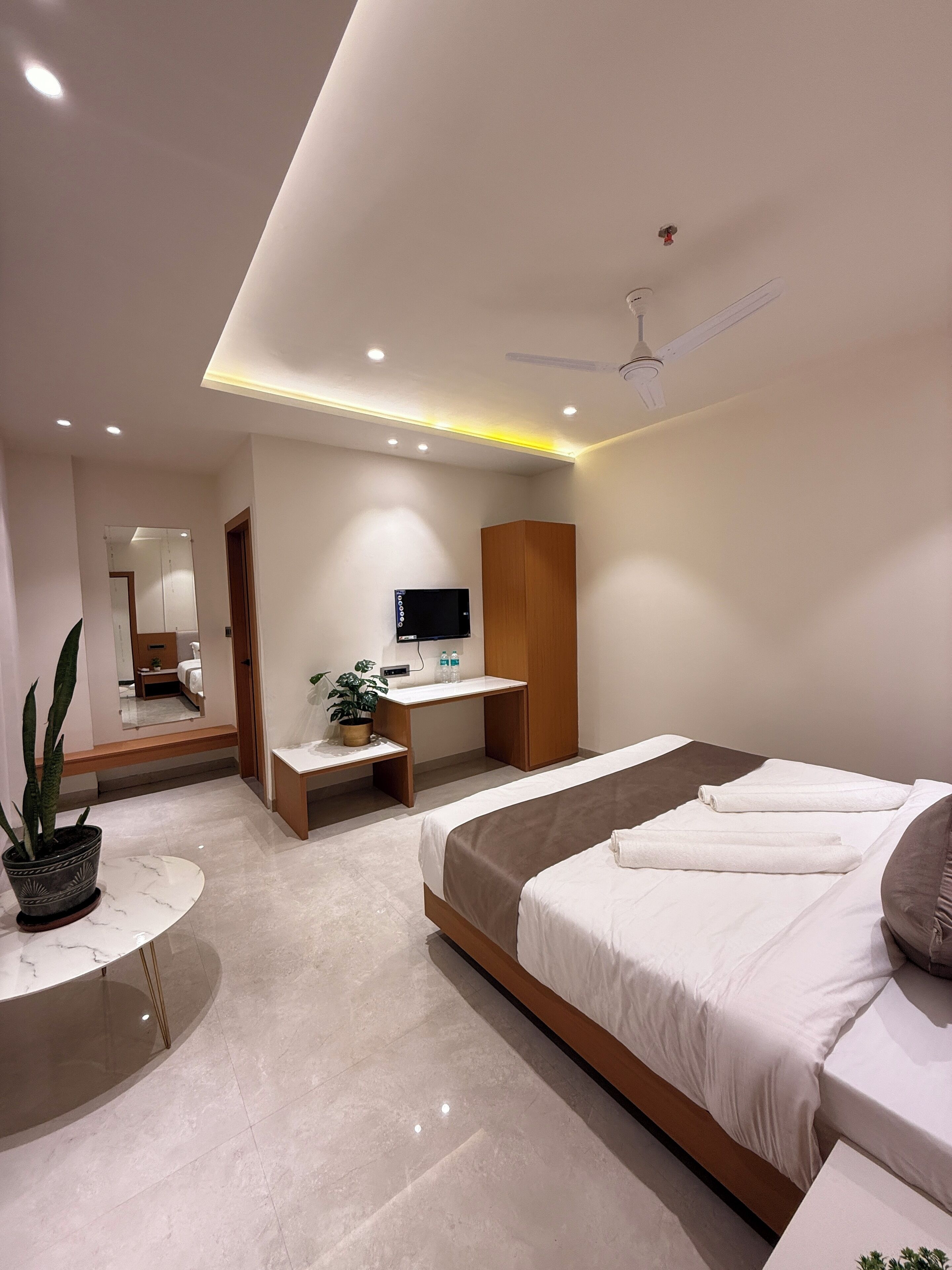 A modern bedroom with a bed, bedside table, a mirror, a TV, and a plant.