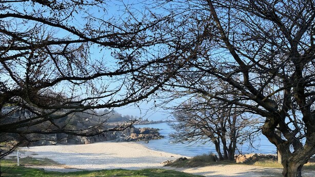 Ein Strand mit Bäumen, einer felsigen Küstenlinie und einem klaren Himmel.
