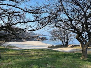 A beach with trees, a rocky shoreline, and a clear sky. - Cottage with a View- 5 min from beach (Allinge)