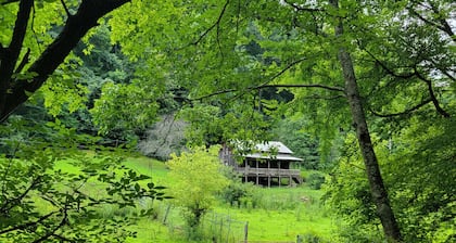 Cabin in the Appalachian mountains!
