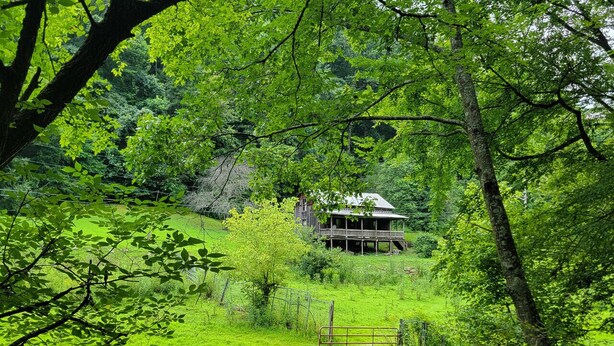 A rustic cabin surrounded by lush greenery and a fenced area. - The Boons Camp Cabin (Boons Camp)