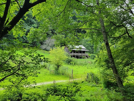 Enceinte de l’hébergement. The Boons Camp Cabin