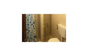 Shower, hair dryer