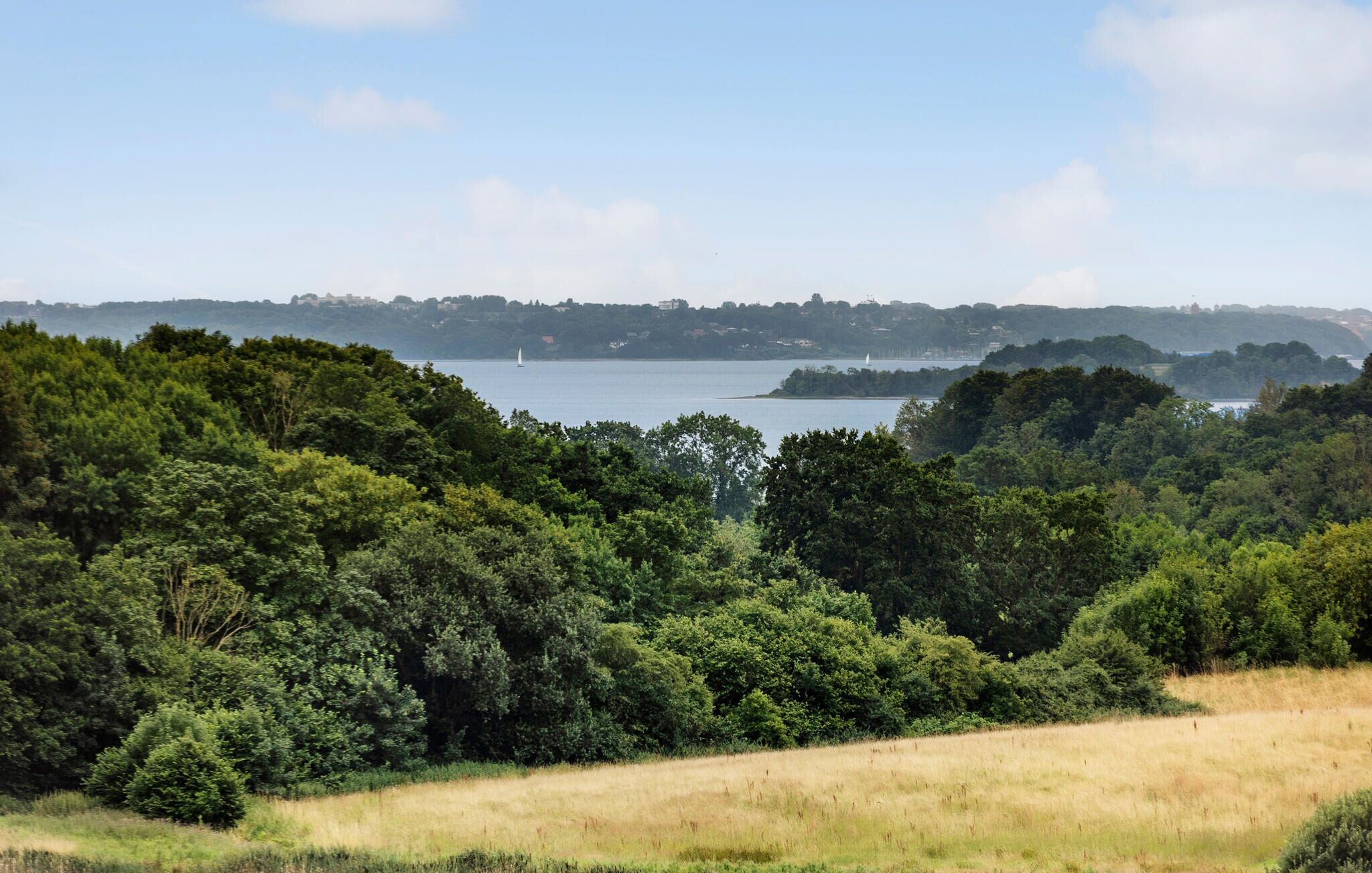 A coastal landscape with dense greenery, a body of water, and distant buildings.
