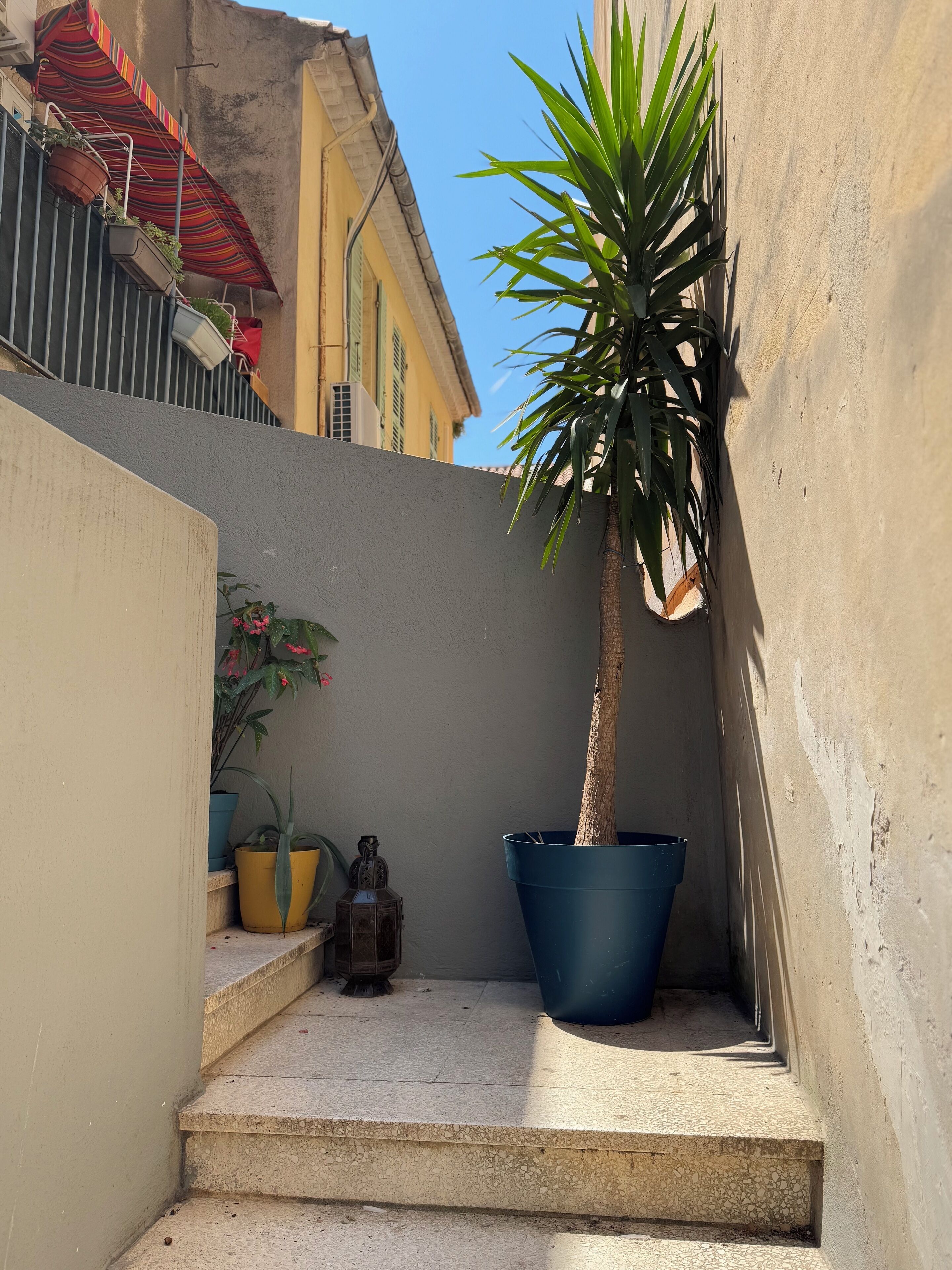 A narrow outdoor space with a concrete floor, a large blue planter, and a potted plant with long green leaves.
