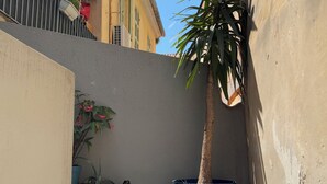 Un petit espace extérieur, avec un sol en béton, un grand pot bleu et une plante en pot aux longues feuilles vertes.