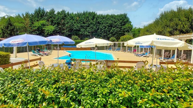 Zona de piscina con sillones de descanso y sombrillas, rodeada de vegetación.
