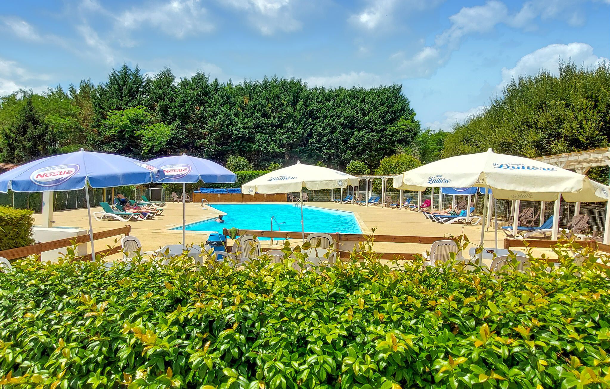 A pool area with lounge chairs and umbrellas, surrounded by greenery.