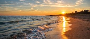 Sale~FennVilla ● Lake Michigan ● Saugatuck ● South Haven ● Wineries ● 3 Dogs✓
