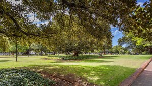 A park with a large tree, grassy areas, and a paved path.