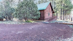 Une cabane en rondins surmontée d’un toit végétalisé, entourée d’une forêt dense de pins.