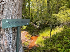 Opastekyltti metsäisellä alueella, jossa virtaa puro.