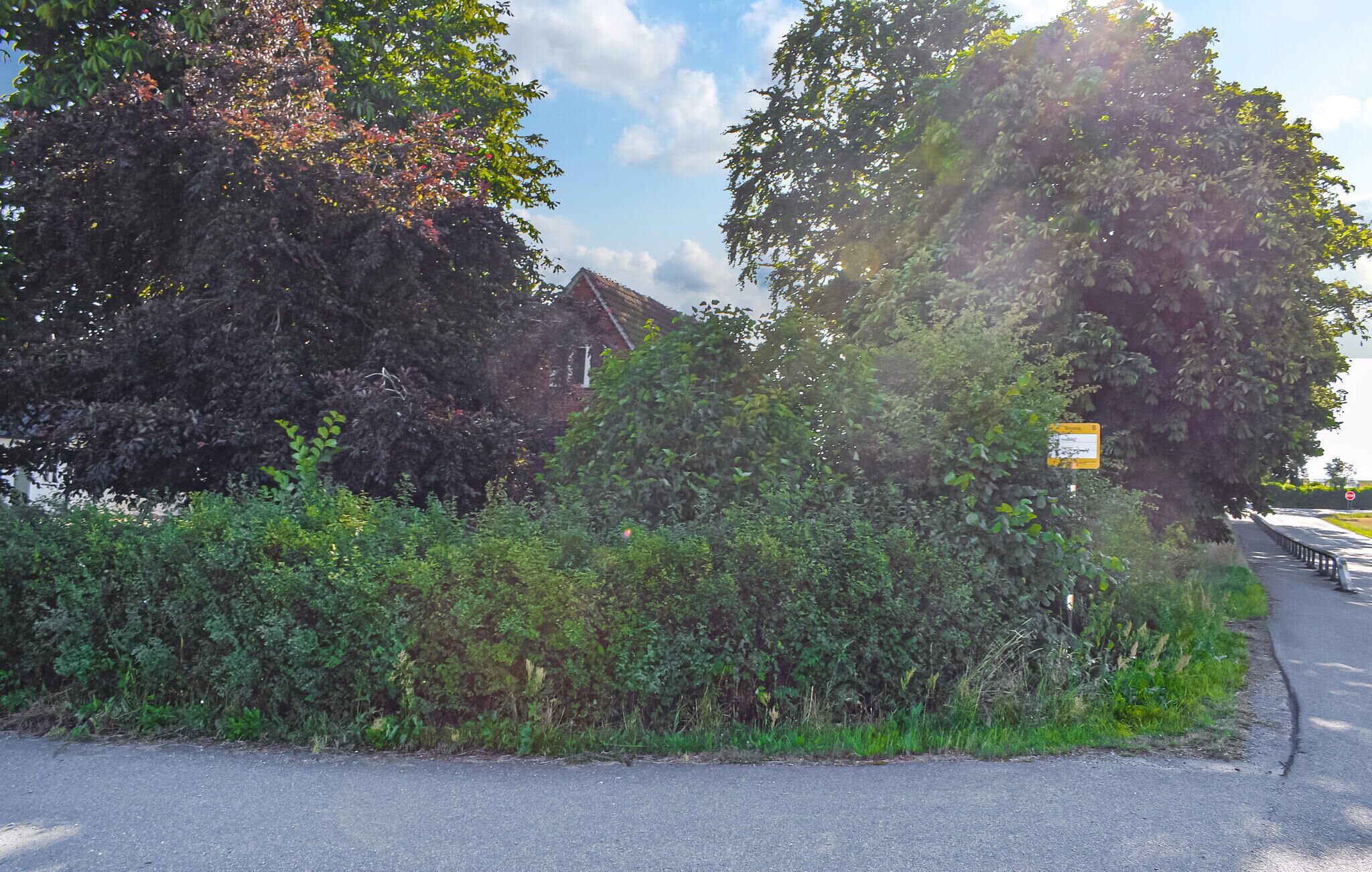 A roadside with dense foliage and a yellow sign on a pole.