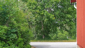 A gravel driveway leading to a red building surrounded by dense green foliage. - Amazing home in Holmsjö (Holmsjö)