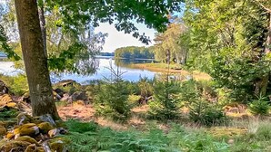 A natural landscape with a lake, trees, and shrubs. - Amazing home in Holmsjö (Holmsjö)
