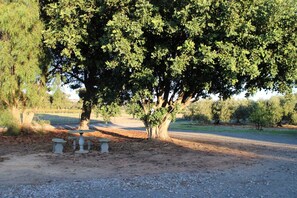 Property grounds - Perfect for a retreat or a short stay. Spacious living with clean fresh air. (Willunga)