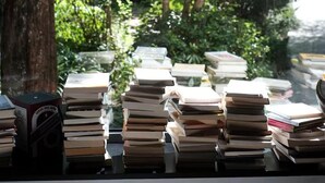 A view through a window with curtains, displaying a stack of books and a tree outside. - Blooming Lotus Hostel (Hangzhou)