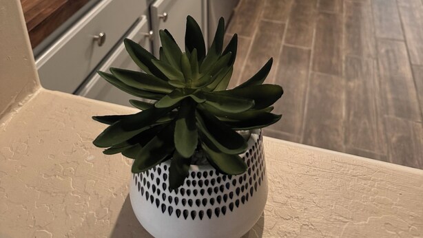 Een keuken met houten aanrechtbladen, witte kasten en een potplant op het aanrecht.