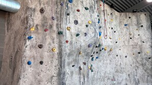 Een klimmuur met kleurrijke handgrepen en een veiligheidspaneel.