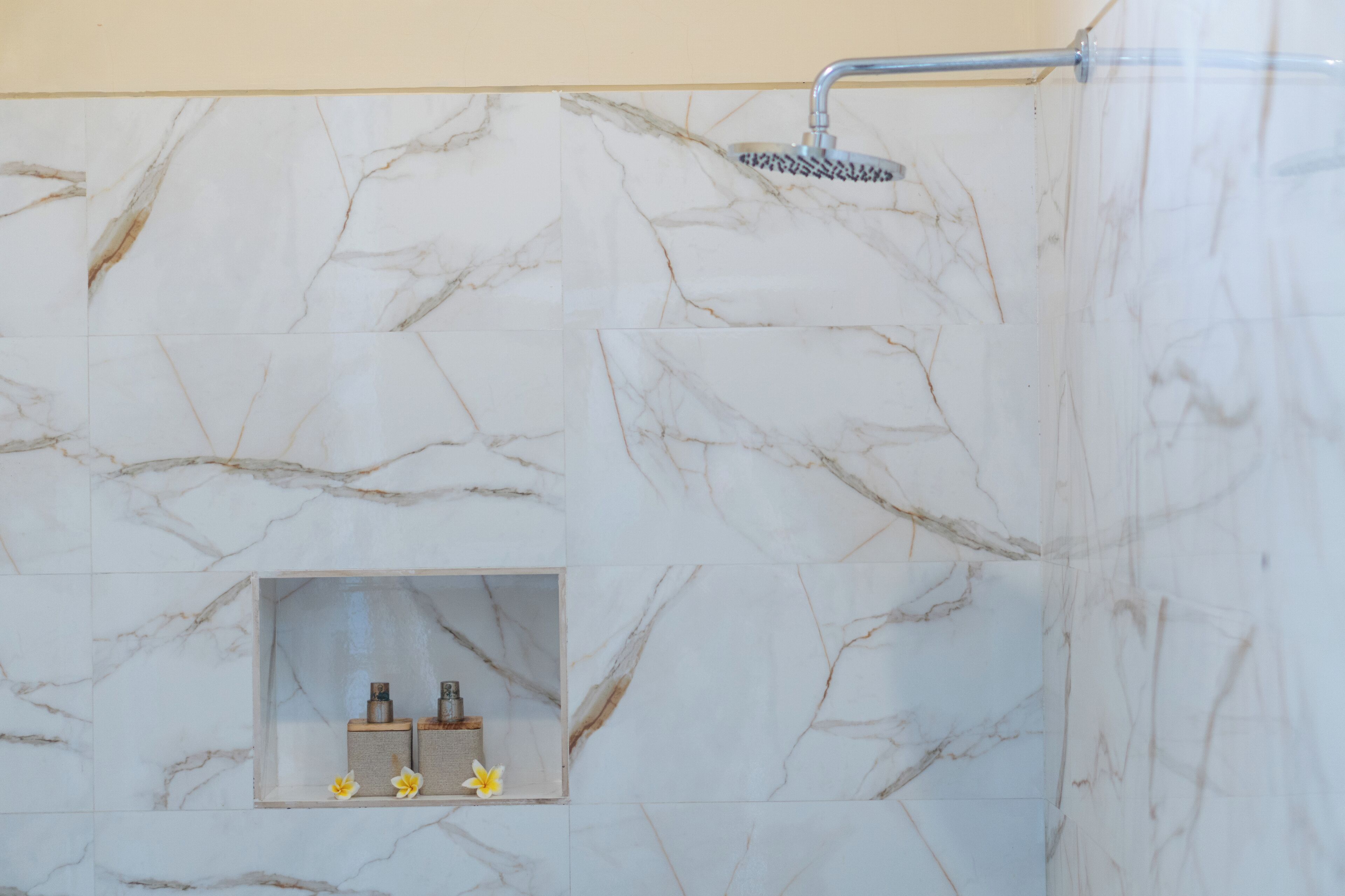 Deluxe Villa | Bathroom shower