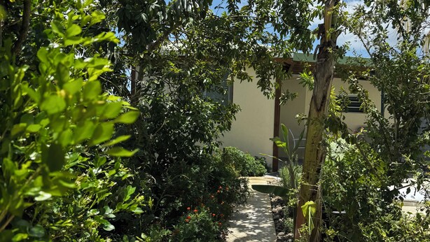 A garden pathway with a variety of plants and a stone border. - L'Échappée Créole (Baie-Mahault)