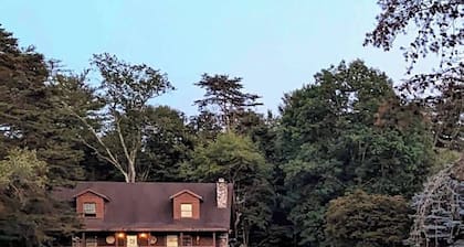 The Cozy Cabin, 4 BR, 2 bath home on 5 private acres in NE PA. Family Friendly!