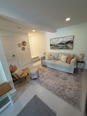 Smart TV, fireplace, books, stereo