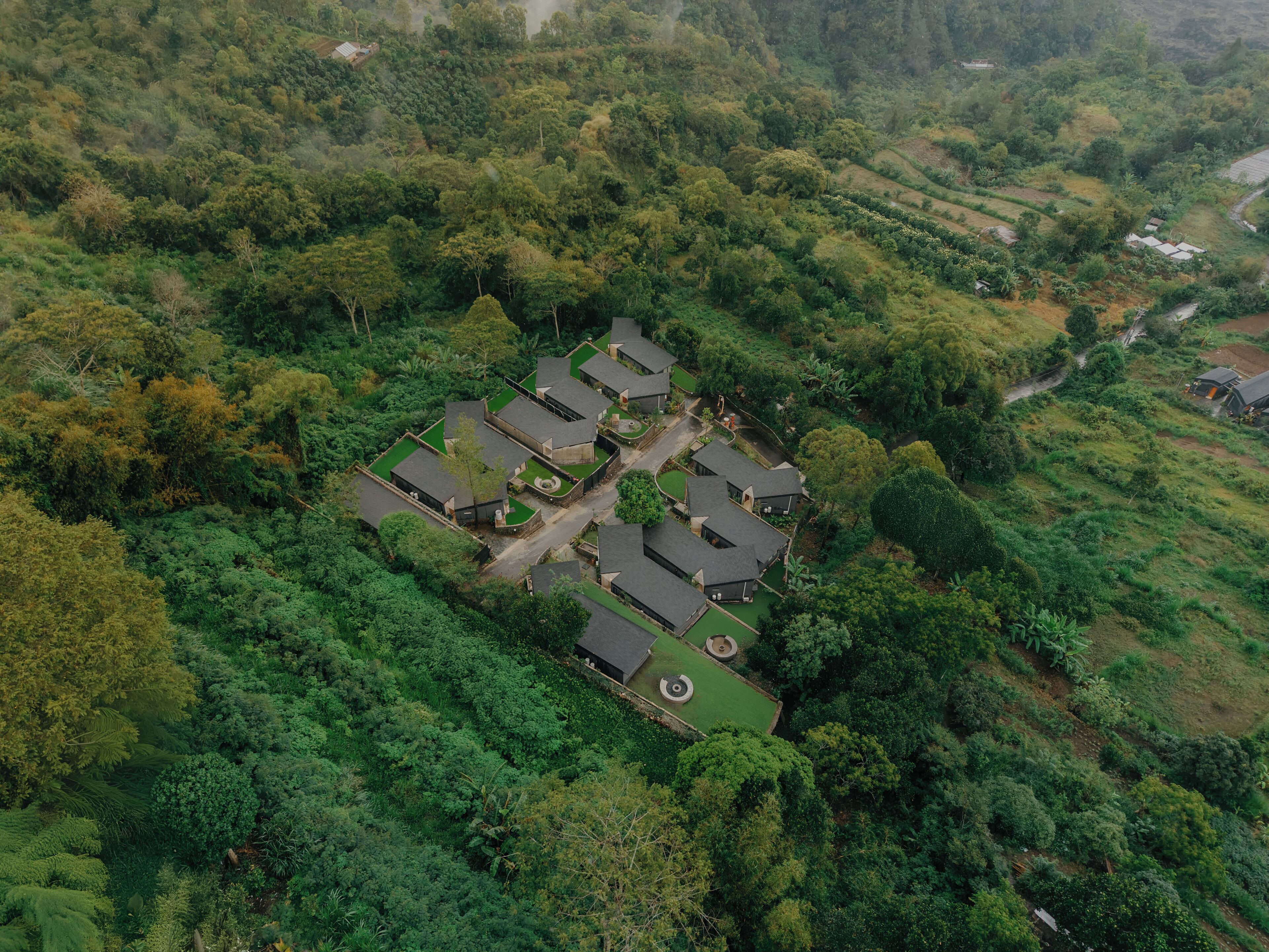 An aerial view of a residential area with multiple houses arranged in a grid pattern, surrounded by dense greenery.
