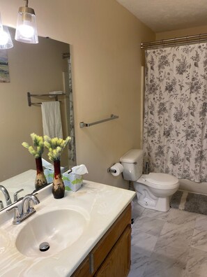 Hair dryer, towels, soap, toilet paper