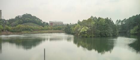 A calm lake with a dock, surrounded by dense greenery and a distant building.