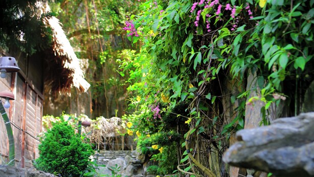 Un sendero de piedra serpentea por un jardín exuberante, lleno de follaje denso y una estructura con techo de paja.