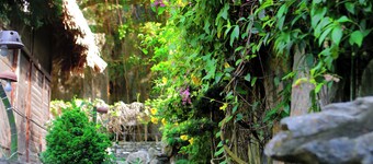 Tam Coc Lion Kings Hotel & Resort Ninh Binh