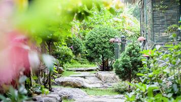 Un chemin de pierres serpente à travers un jardin luxuriant, où l’on trouve une variété de plantes et un petit arbre.