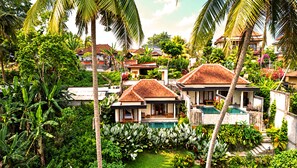 Un quartiere residenziale con diverse case, una piscina e vegetazione lussureggiante.