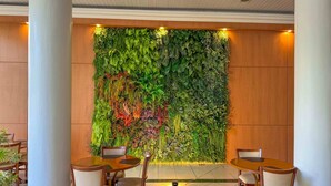 Un espace repas agrémenté d’un mur végétal vertical, de lambris en bois et d’un sol carrelé.