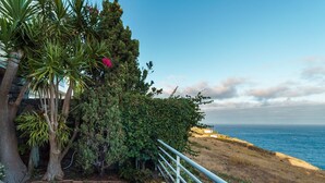 Un paisaje costero con vista al mar, un muro de piedra y diversa vegetación, incluyendo un árbol grande y un seto.