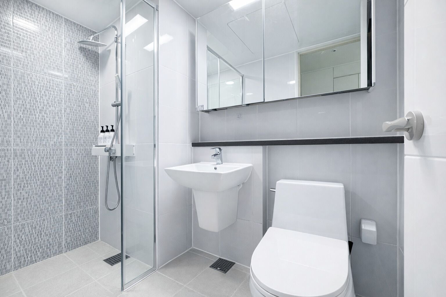 Hair dryer, towels, soap, shampoo