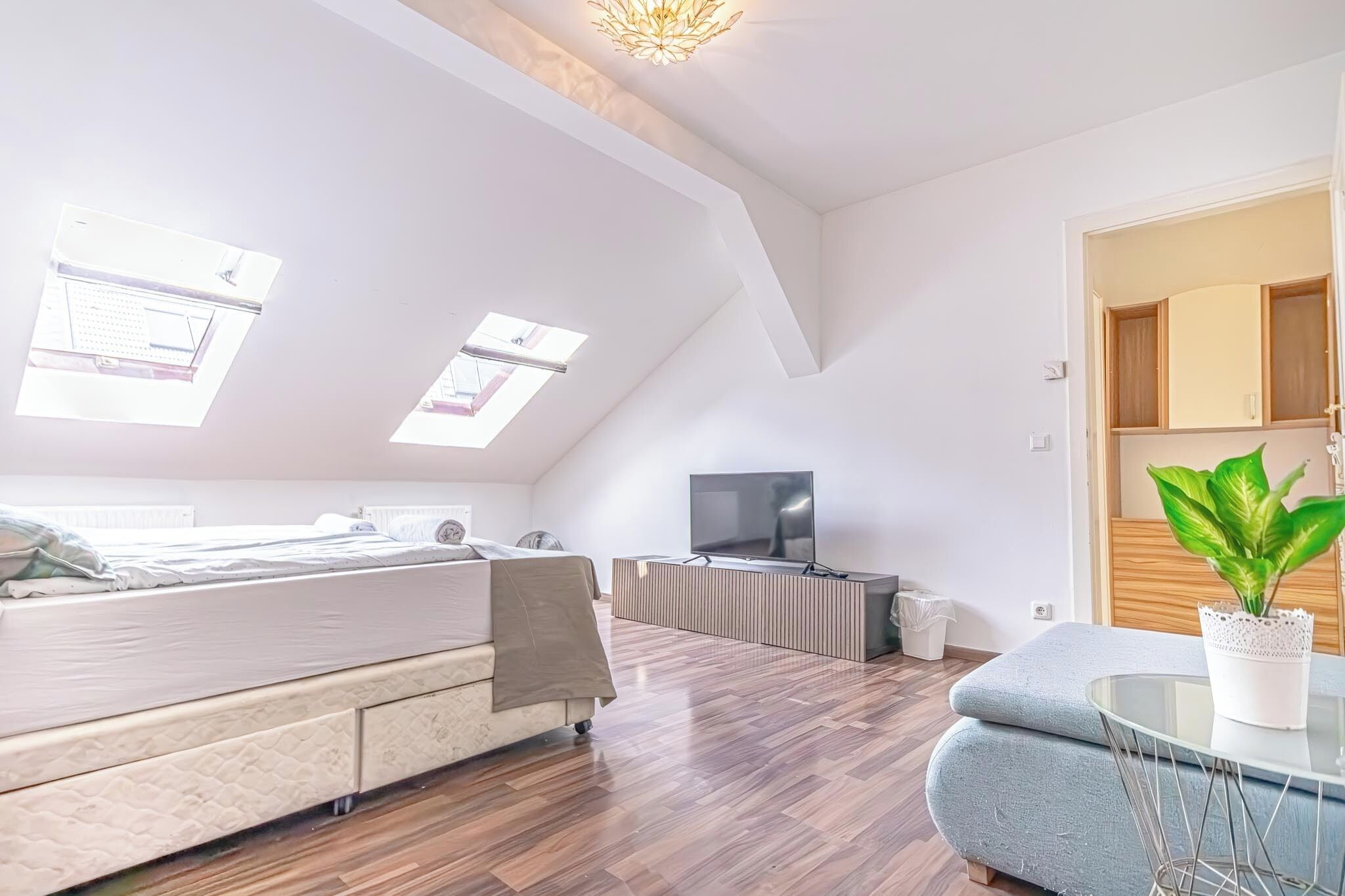 Een moderne slaapkamer met een bed, dakramen, een televisie en een potplant.