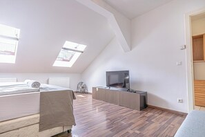 Basic Room | View from room