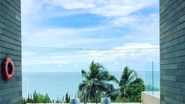 A modern infinity pool with a clear view of the ocean and palm trees.