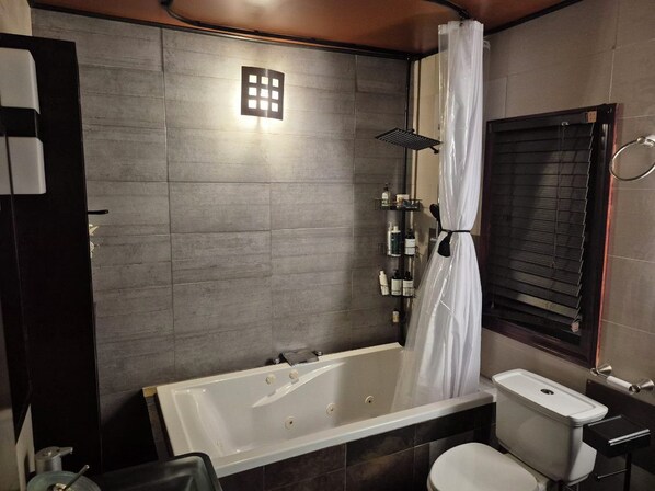 Hair dryer, towels, soap, toilet paper